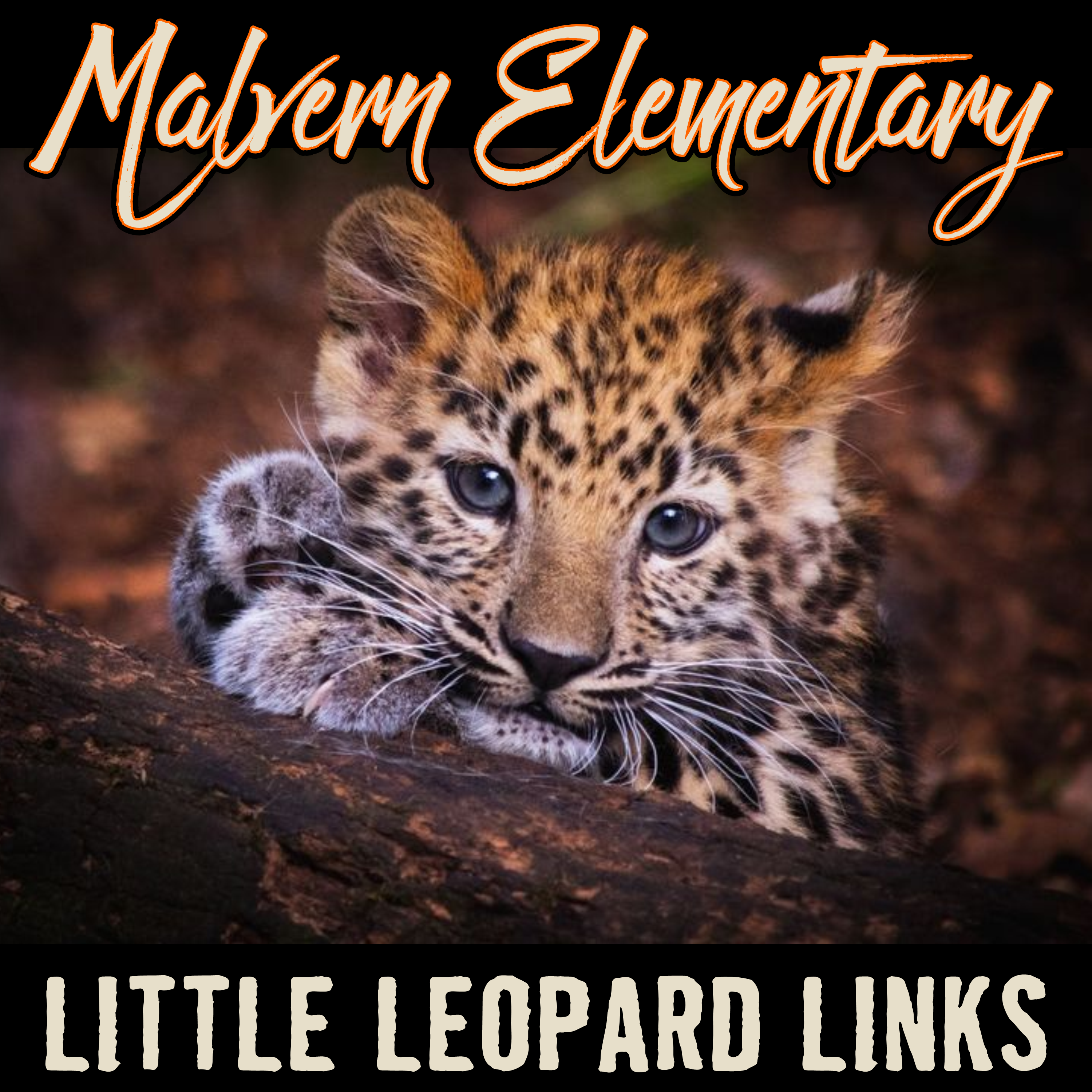 Malvern Elementary Little Leopard Links