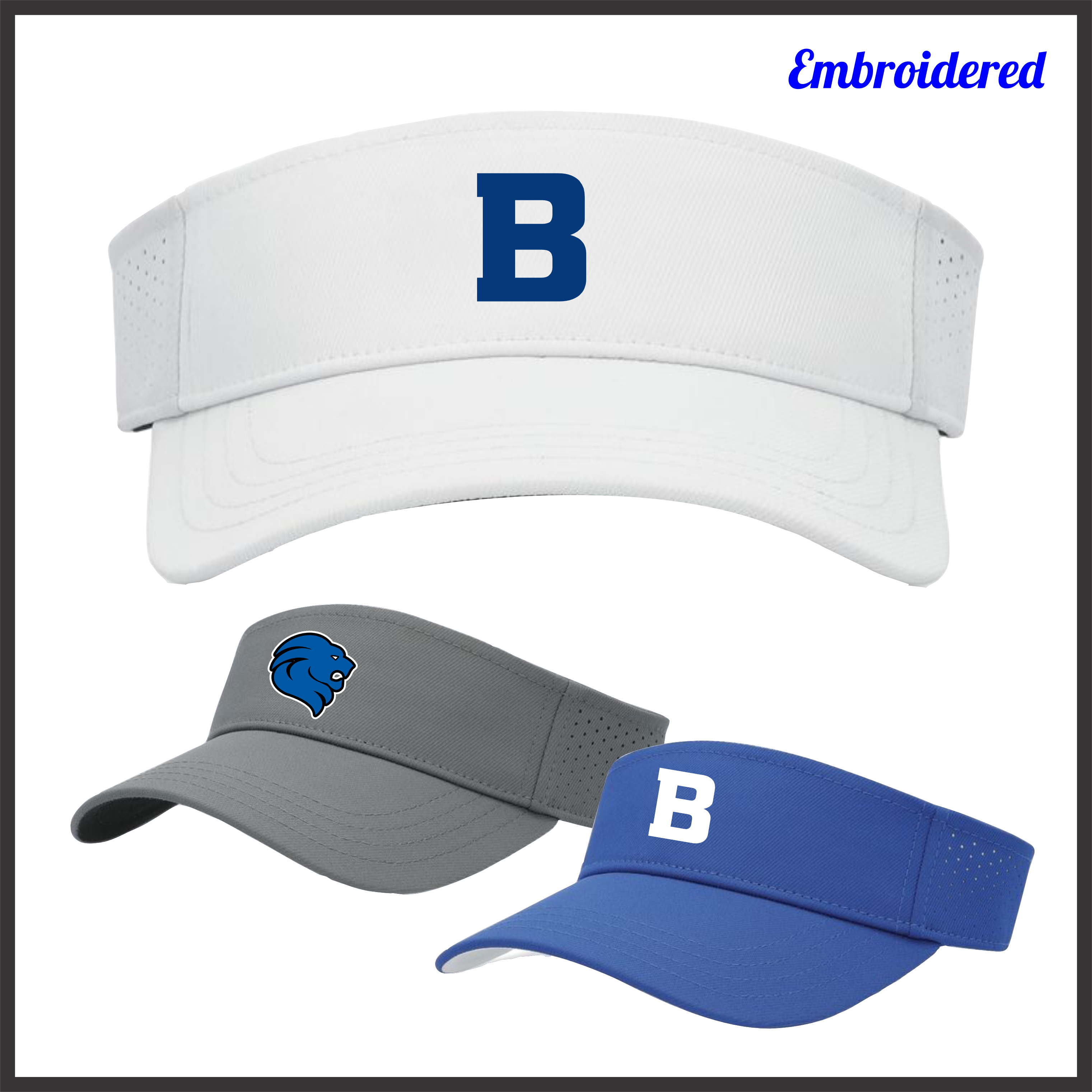 Bismarck Performance Visor